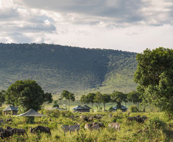 expanse of national park